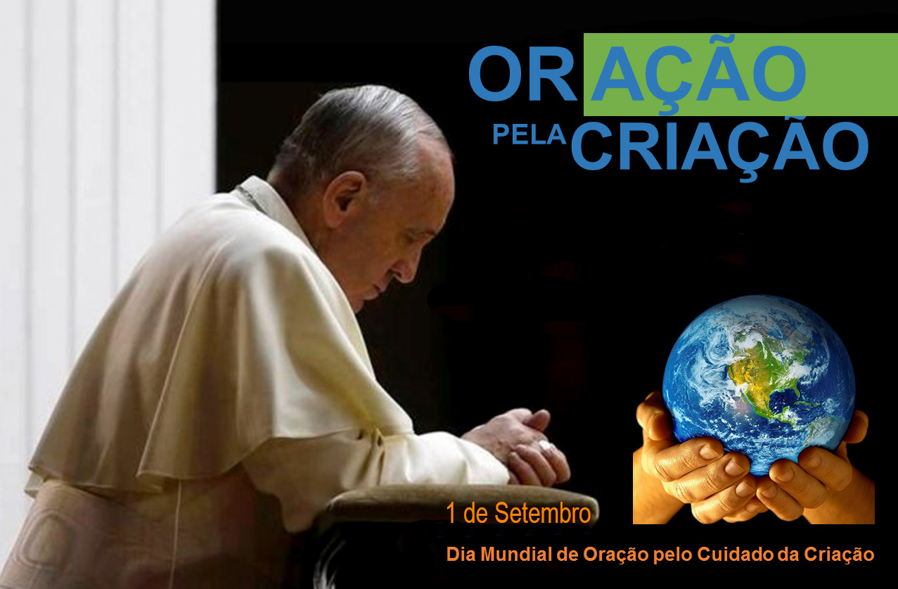 Francisco criacao